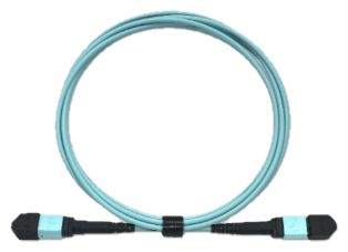 Aerless MPO/MTP Patch Cord, 2m